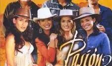 哥伦比亚电视剧,情感纠葛与命运交织的南美风情